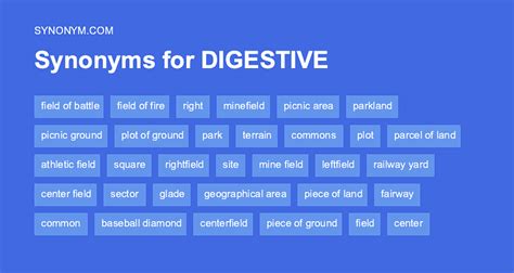 Digestion Synonyms: 18 Synonyms and Antonyms for Digestion.